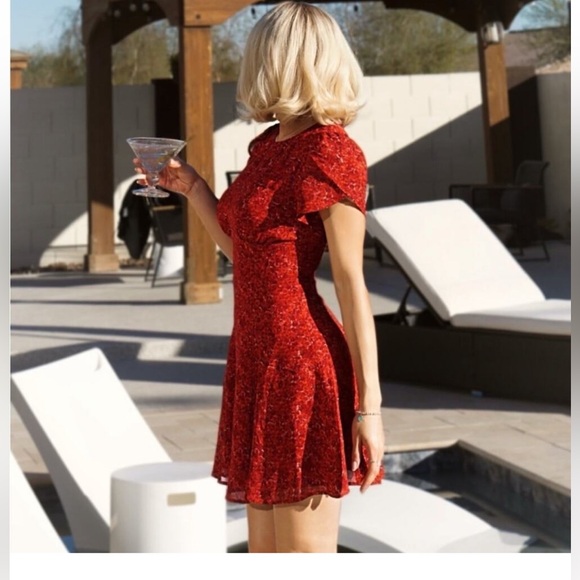 Reformation Lula mini dress  fall, 90s, minimalist, flowy, size 2 - Picture 2 of 15